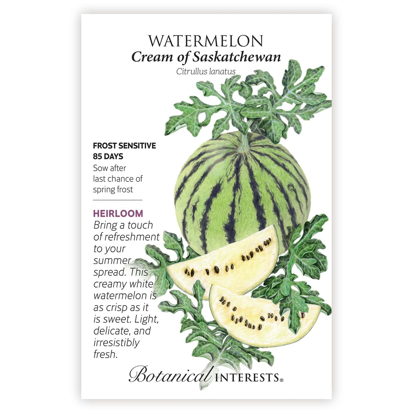 Cream of Saskatchewan Watermelon Seeds