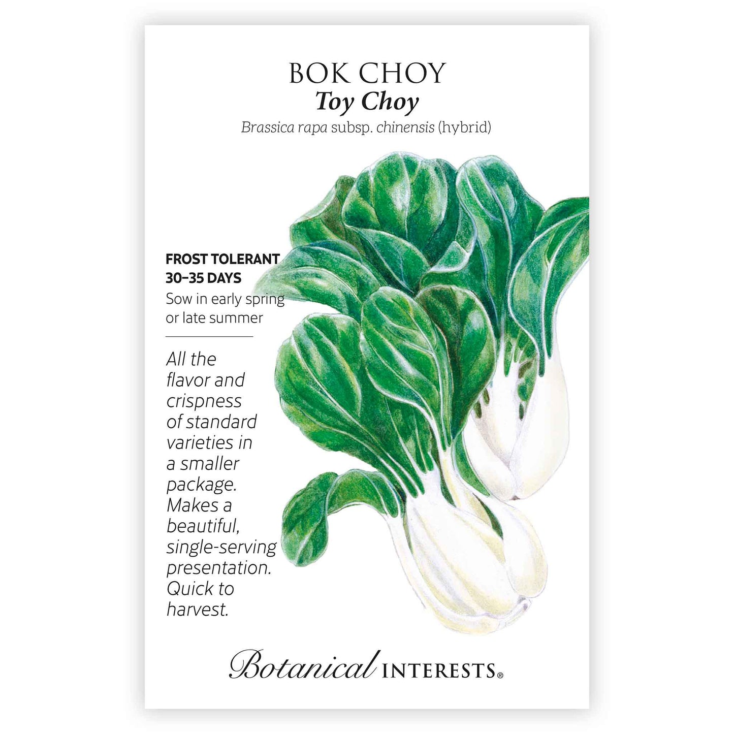 Toy Choy Bok Choy Seeds