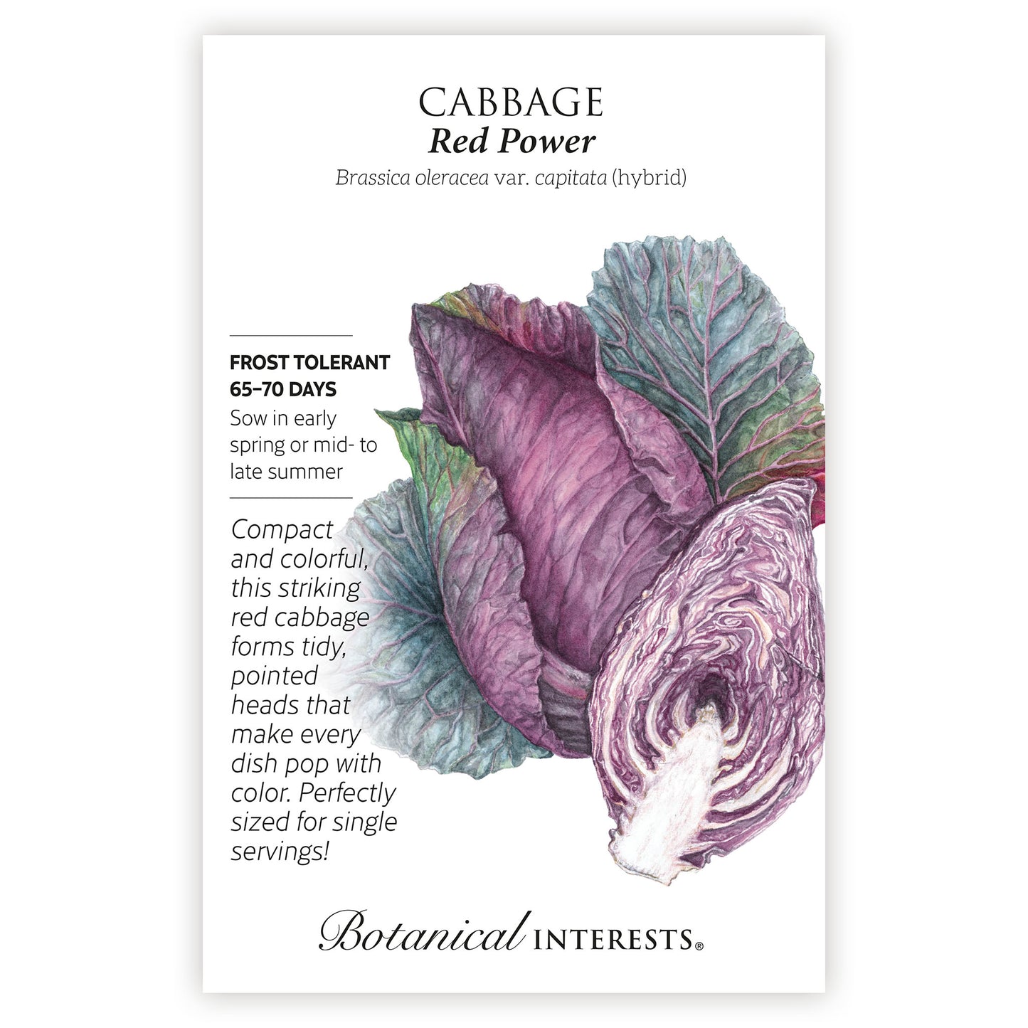Red Power Cabbage Seeds