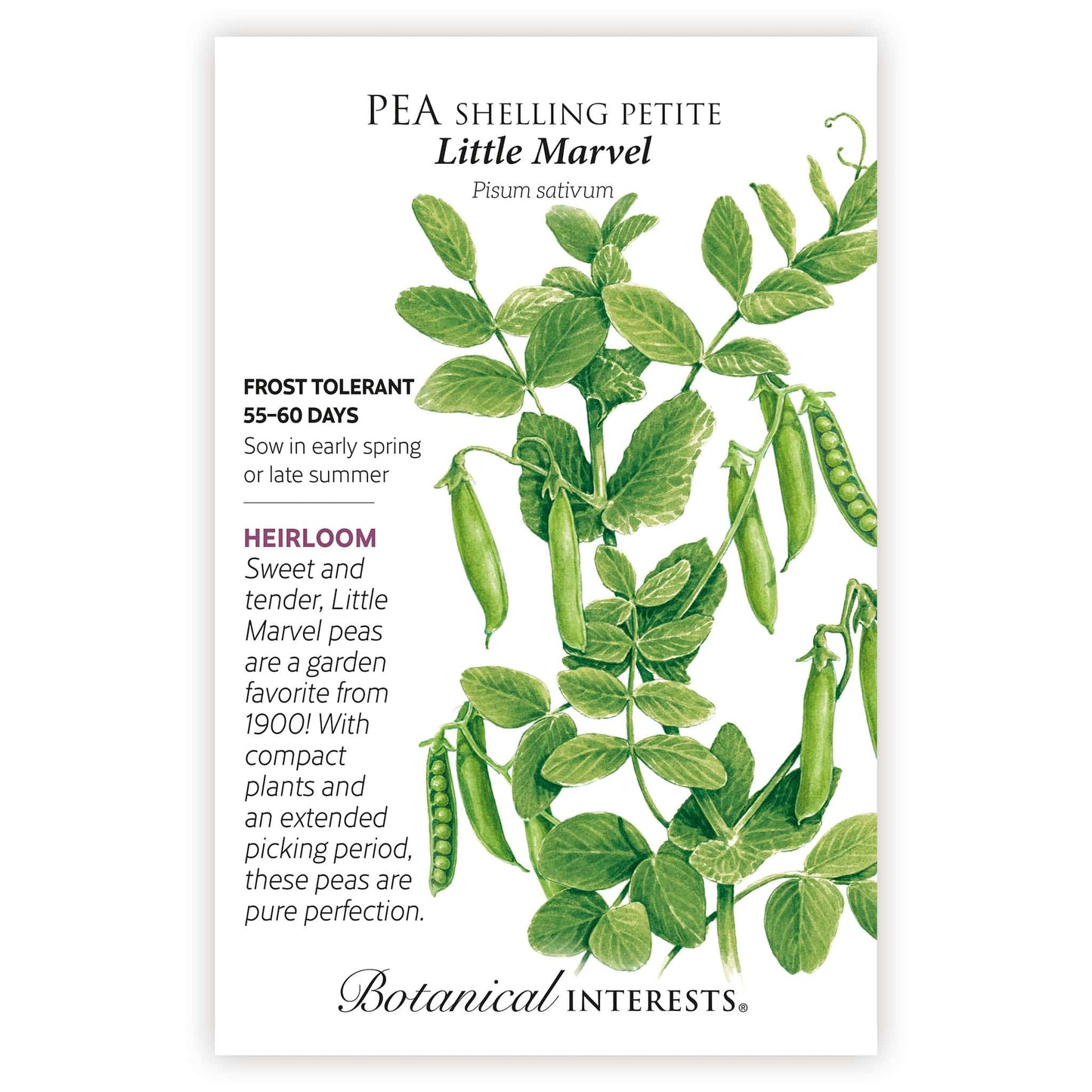 2026 New Varieties Seed Bundle