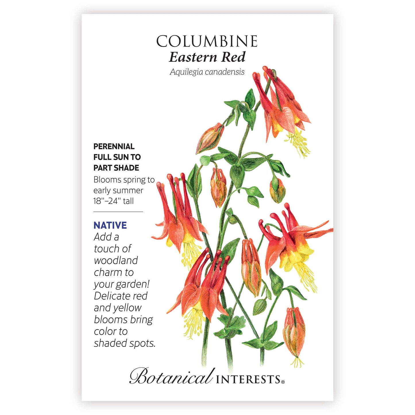 Eastern Red Columbine Seeds