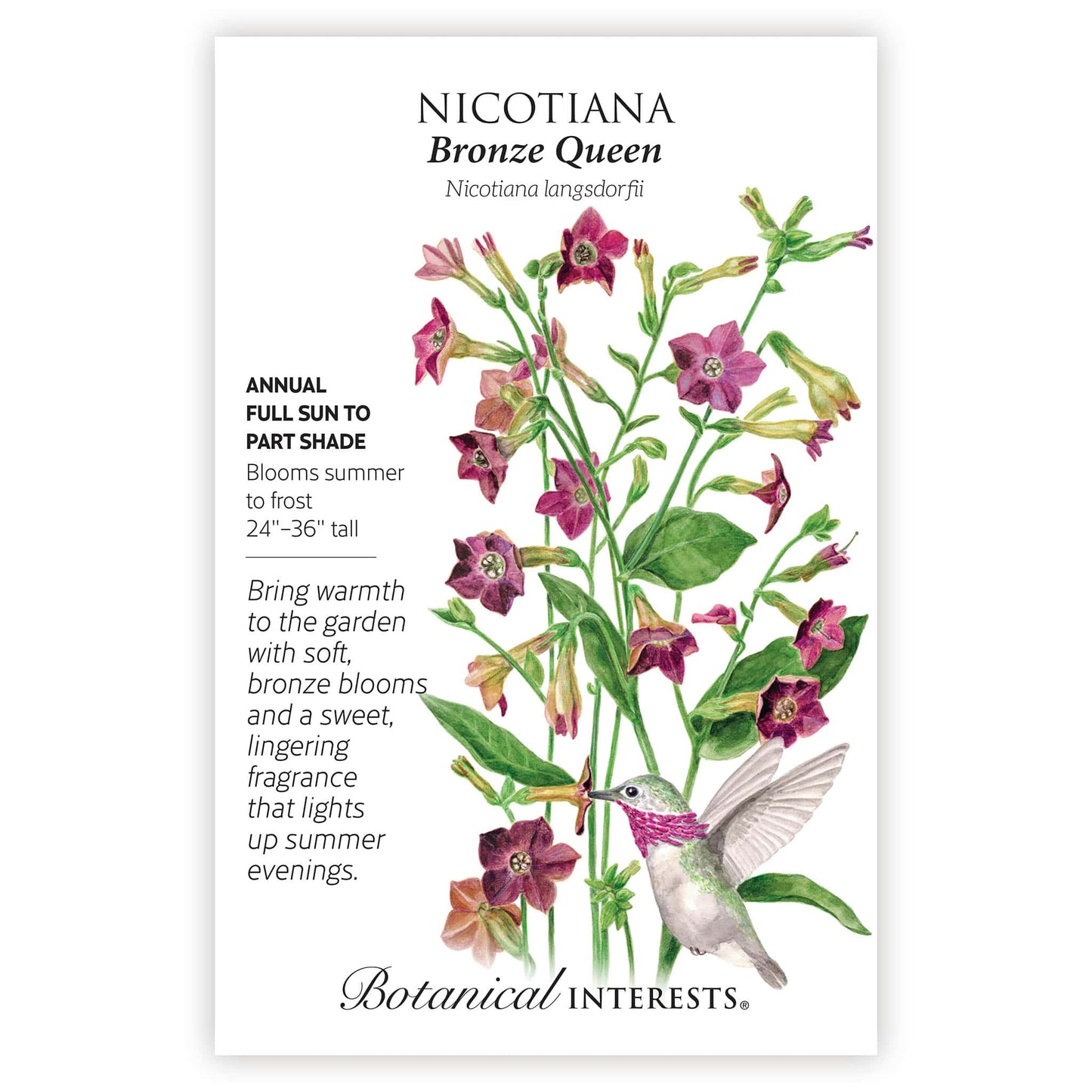 Bronze Queen Nicotiana Seeds