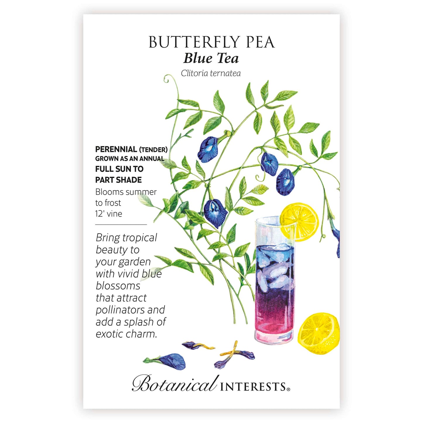 Blue Tea Butterfly Pea Seeds