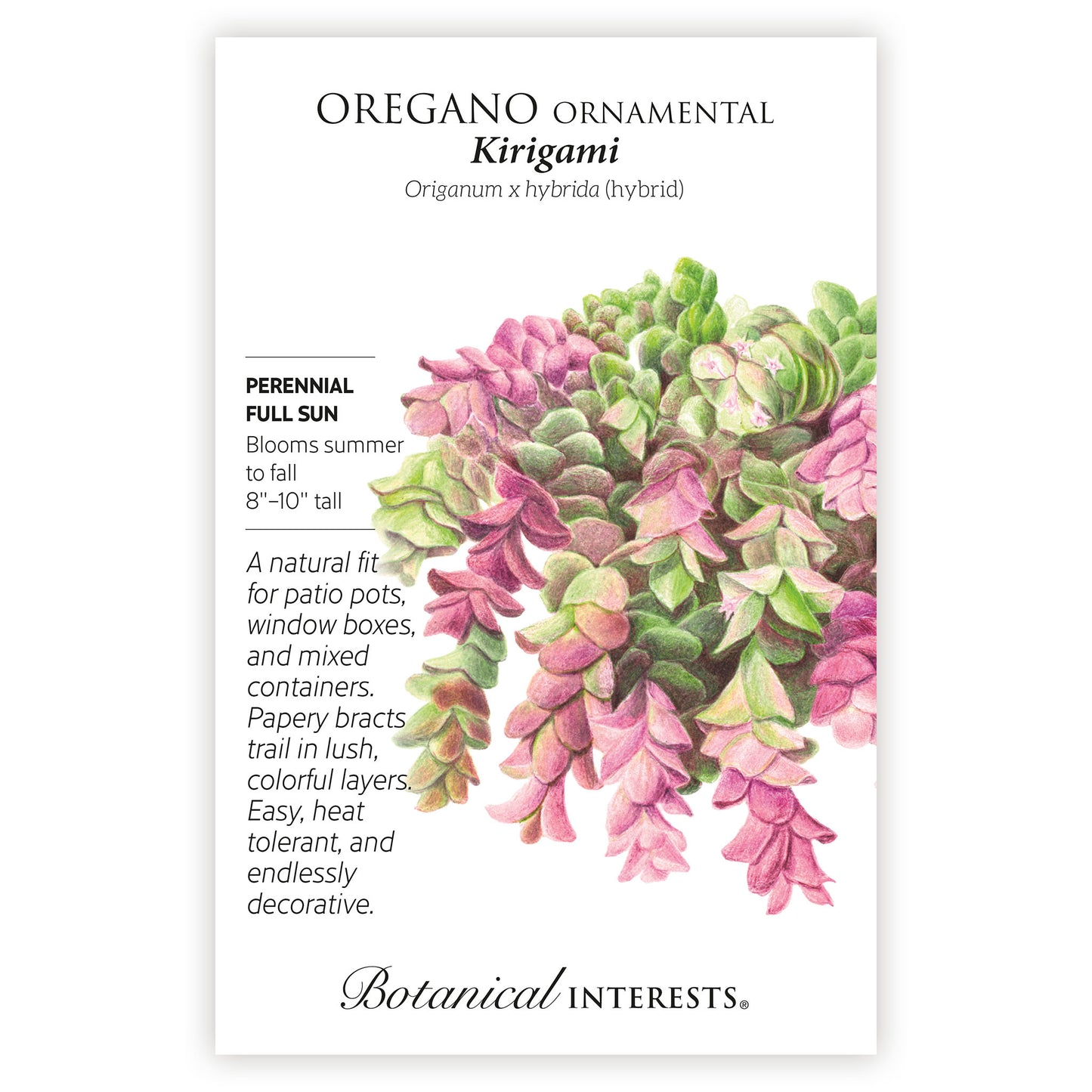 Kirigami Ornamental Oregano Seeds