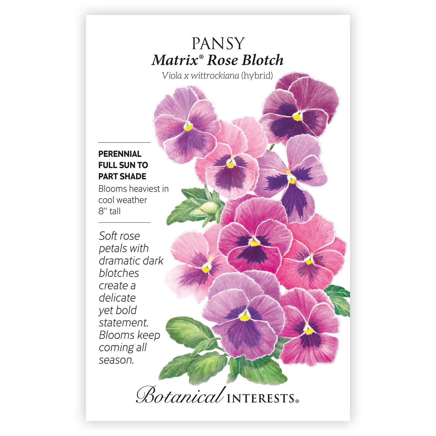 Matrix® Rose Blotch Pansy Seeds