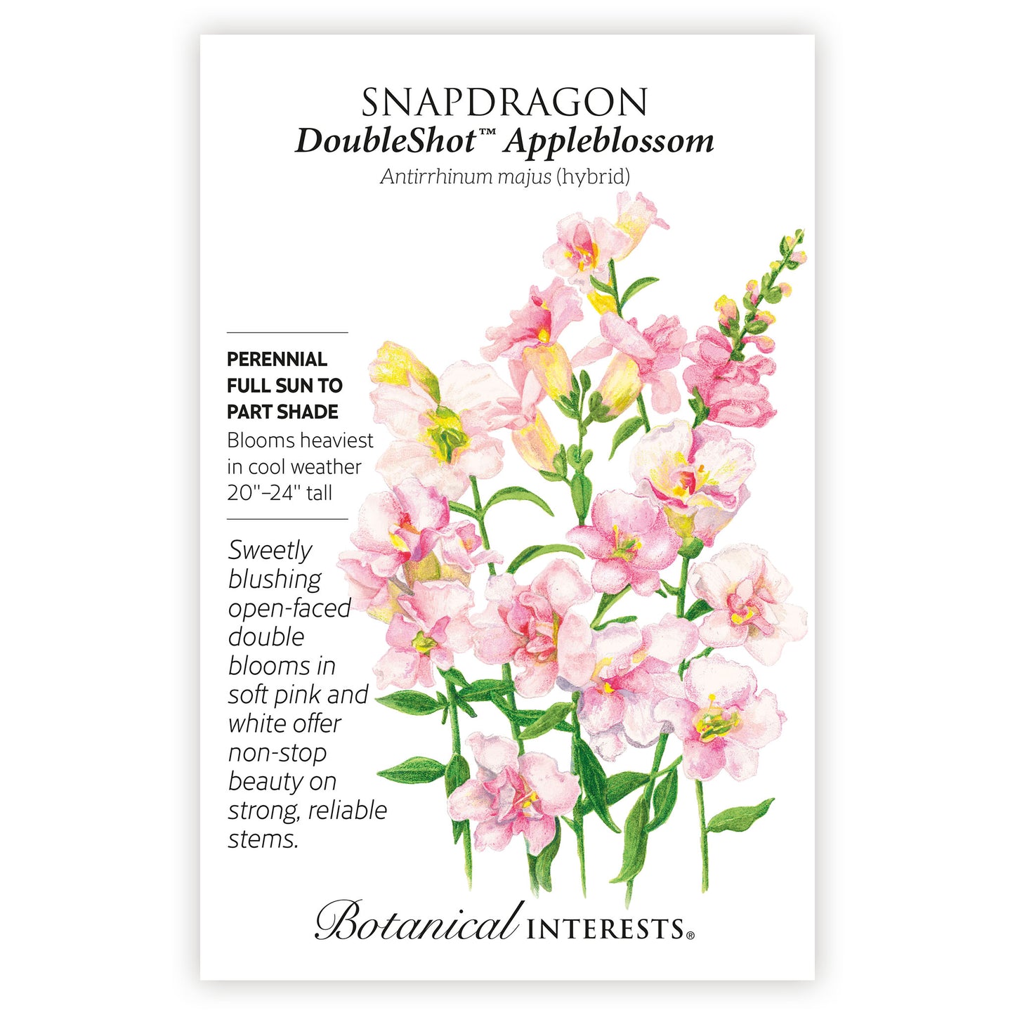 DoubleShot™ Appleblossom Snapdragon Seeds