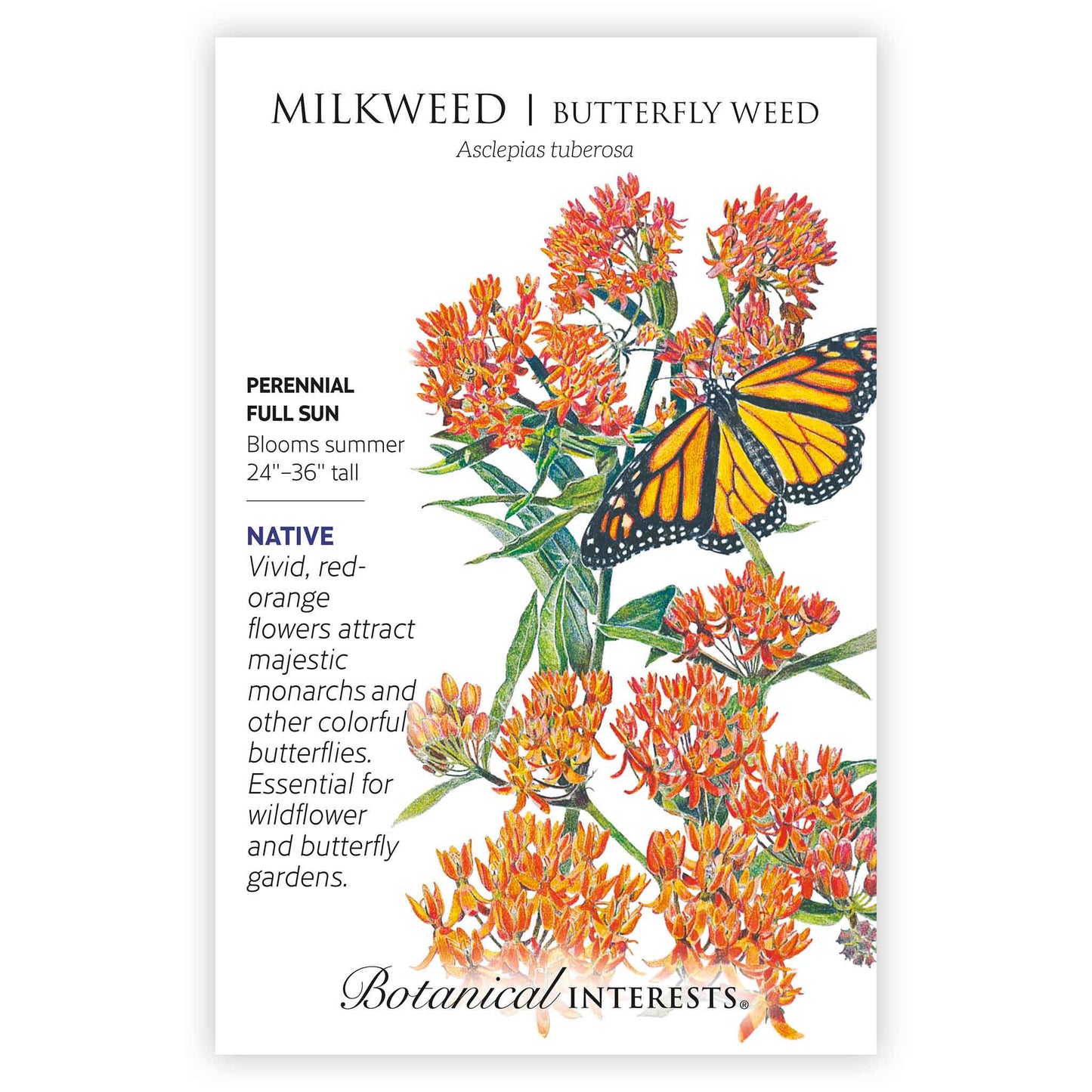 Milkweed/Butterfly Flower Seeds