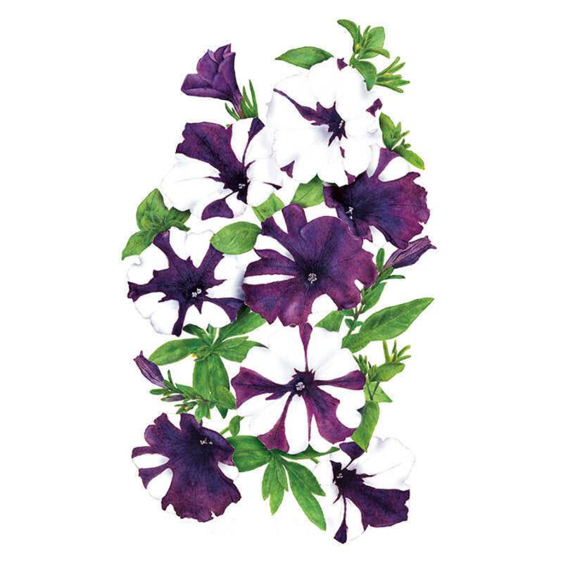 Shock Wave Purple Tie Dye Petunia Seeds – Epic Gardening