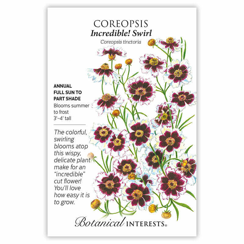 Incredible! Swirl Coreopsis Seeds