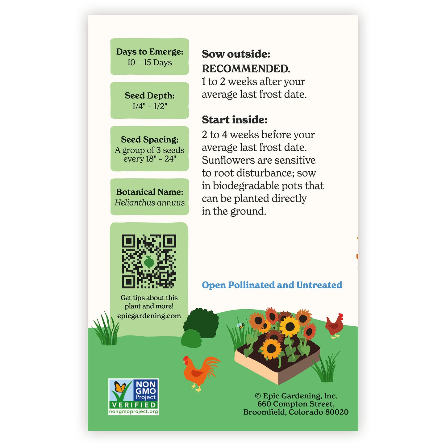 Earthwalker Sunflower