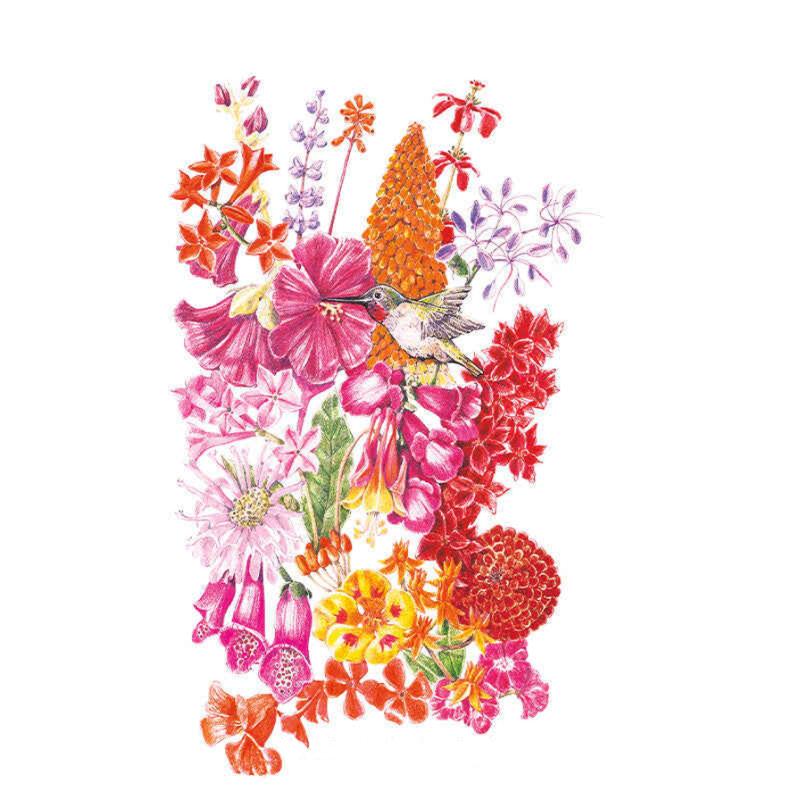 Hummingbird Haven Flower Mix Seeds – Epic Gardening