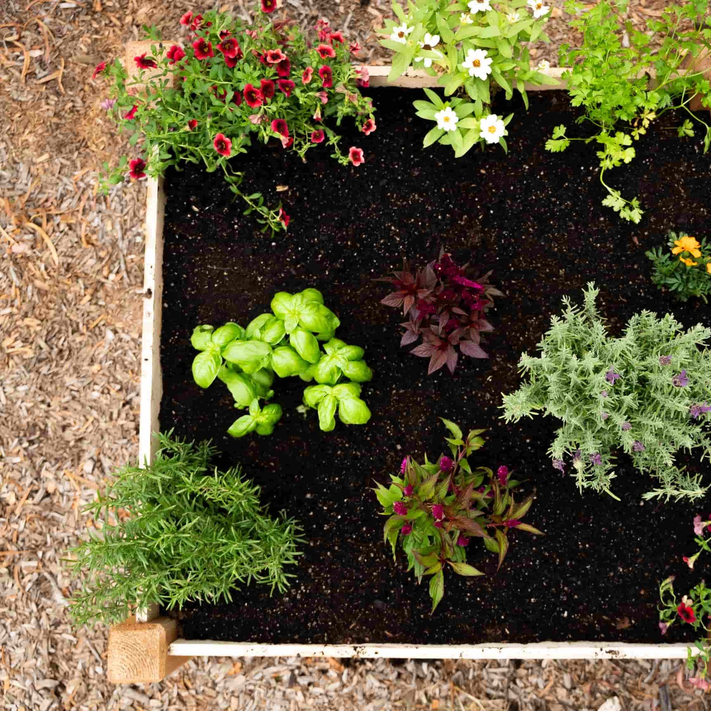 3-Minute Raised Bed