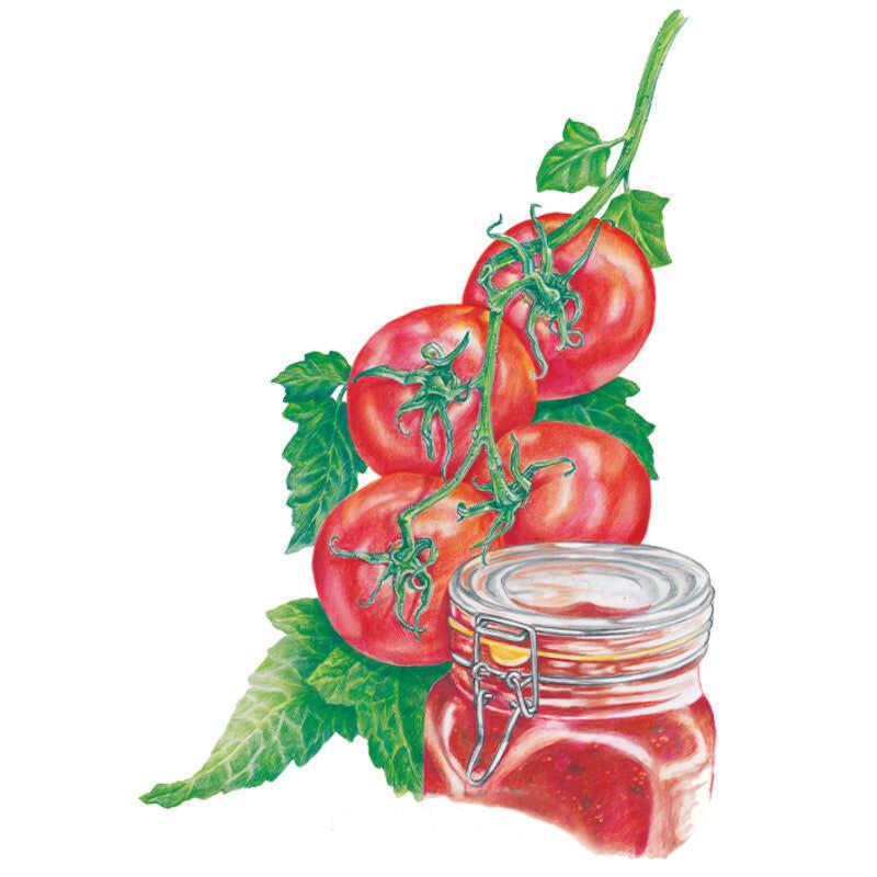 Ace 55 Bush Tomato Seeds – Epic Gardening