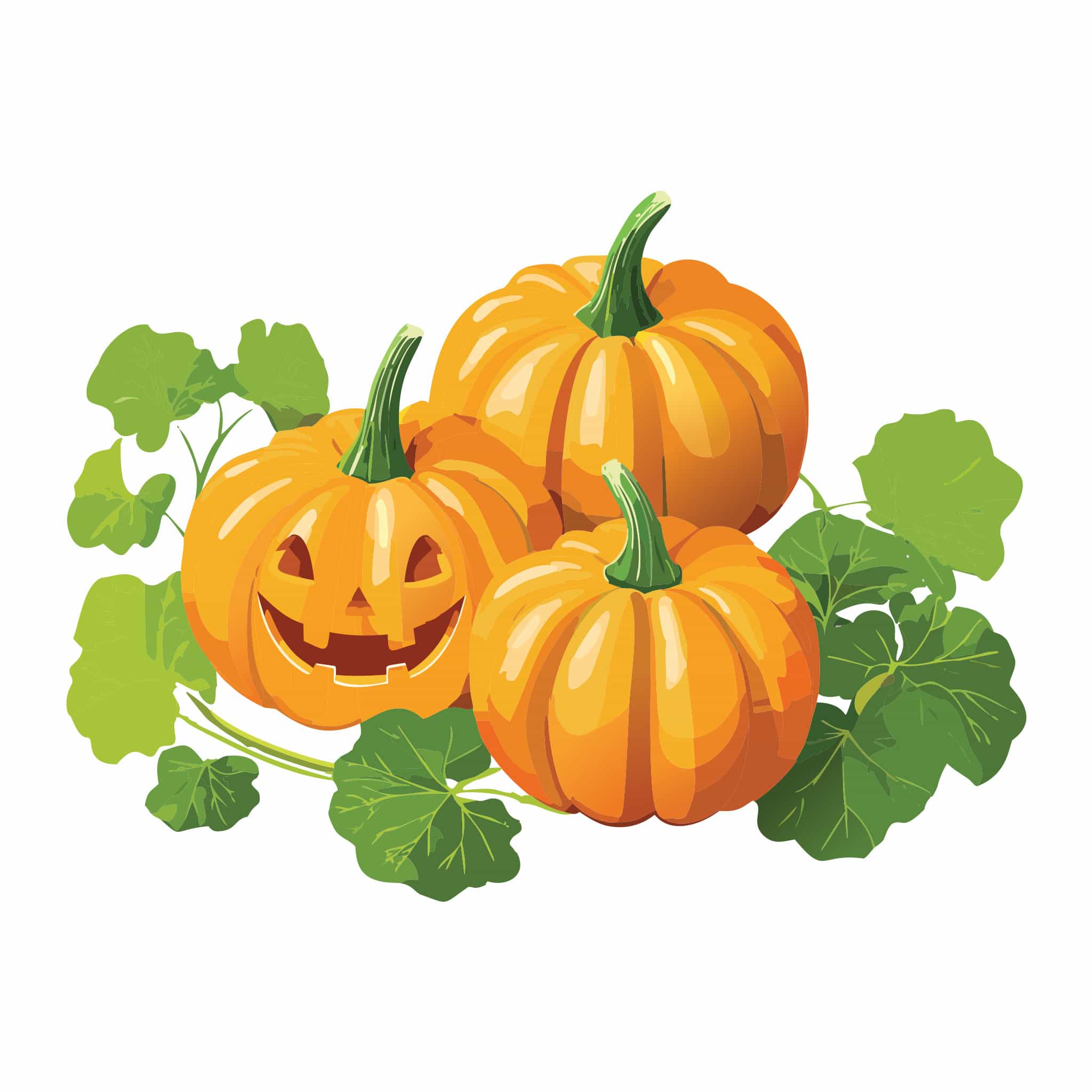 3195i_Pumpkin-Spookie-