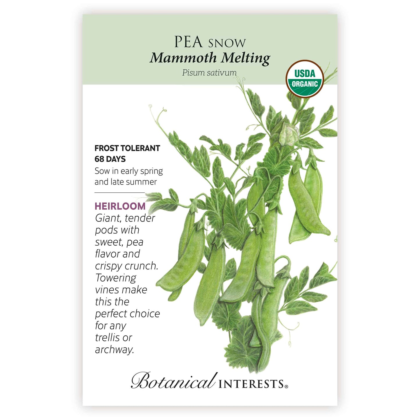 Mammoth Melting Snow Pea Seeds