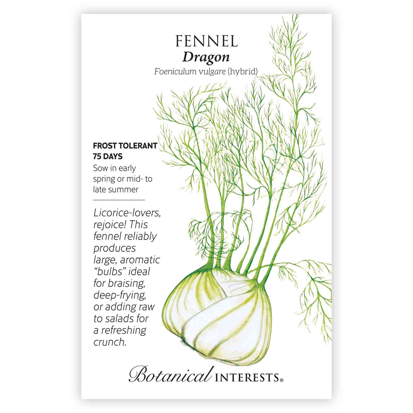 Dragon Fennel Seeds