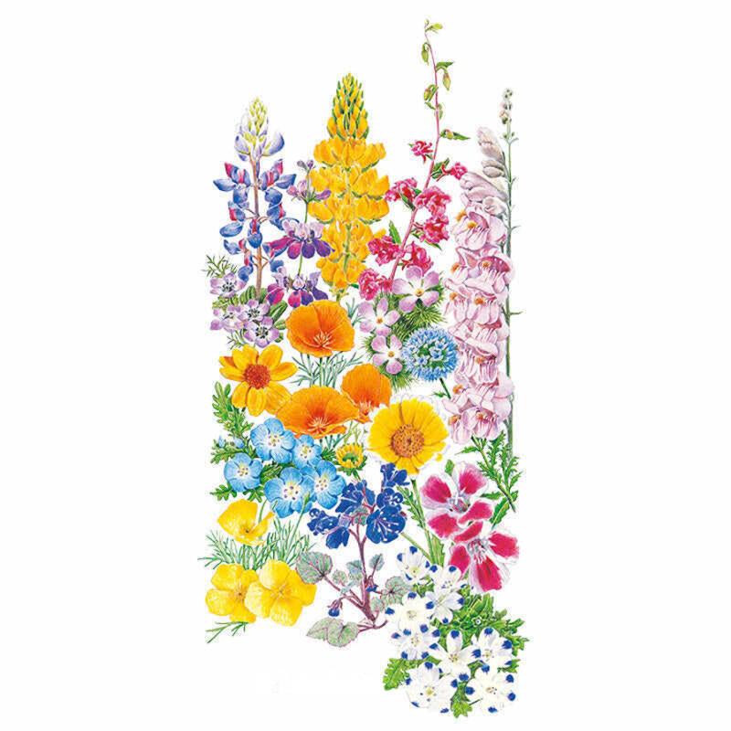 flower seeds by color California Color Flower Mix Seeds