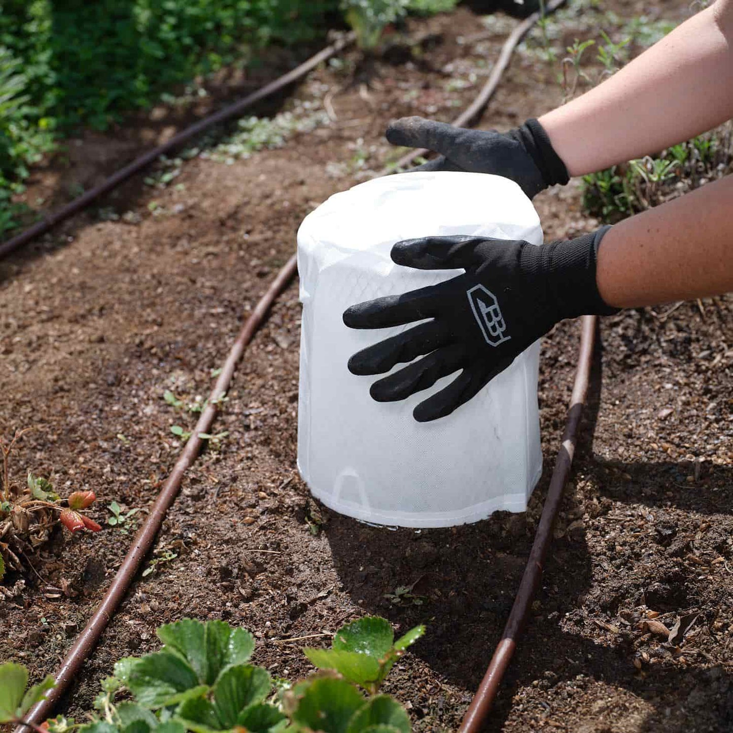 Critter Cover Frost Blanket (10 pack)