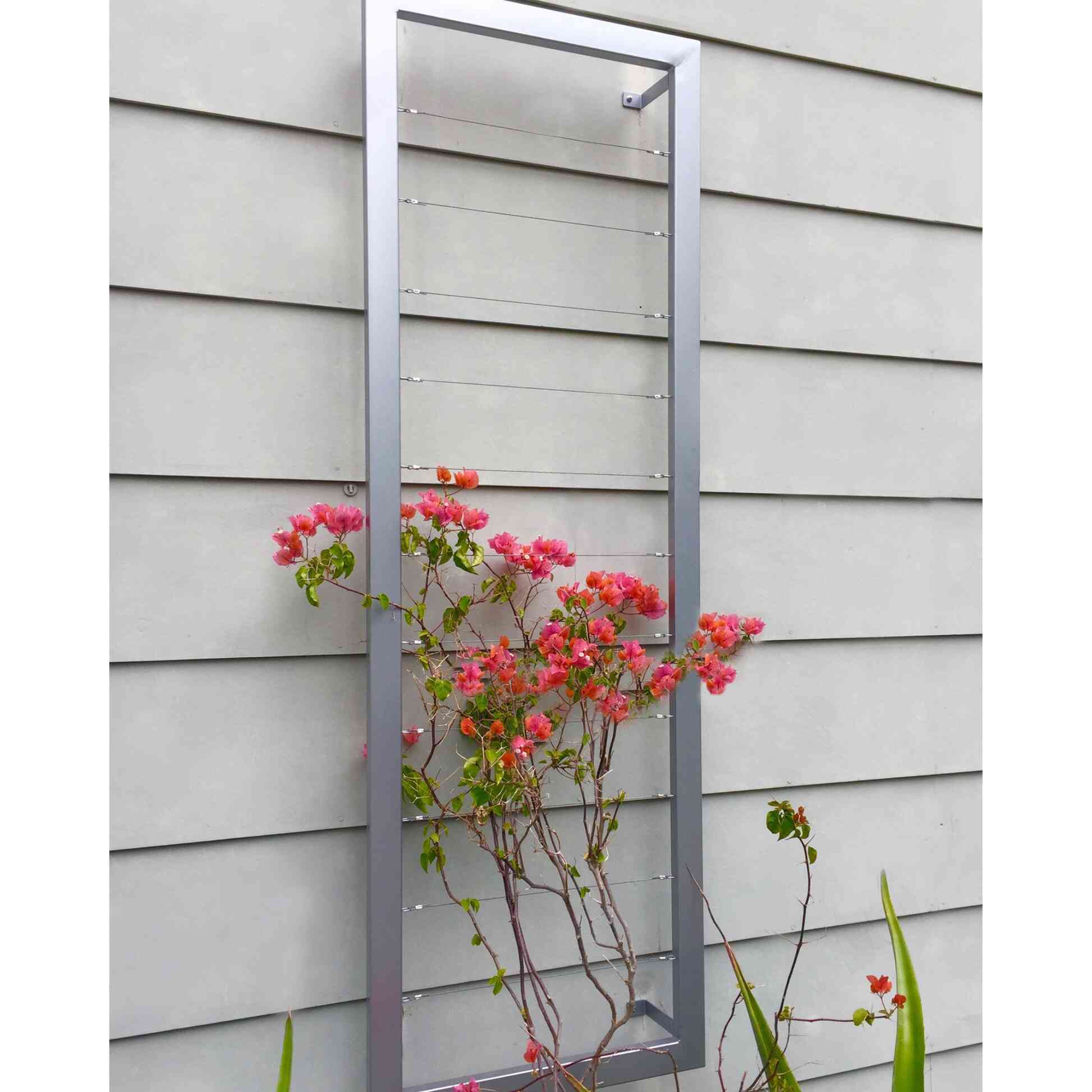 wall trellis plants Ina Wall Trellis Large – Epic Gardening