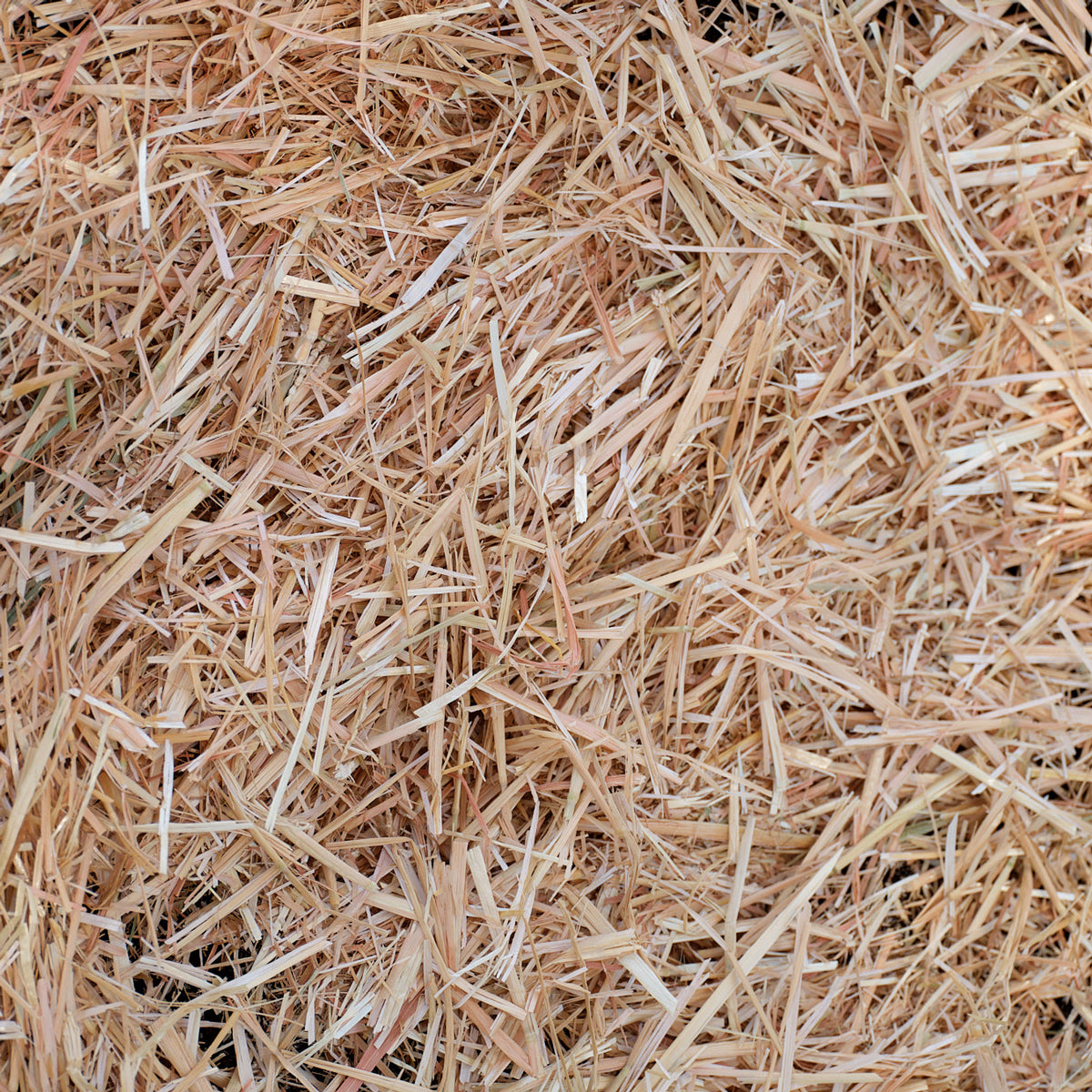 Epic Organic Garden Straw