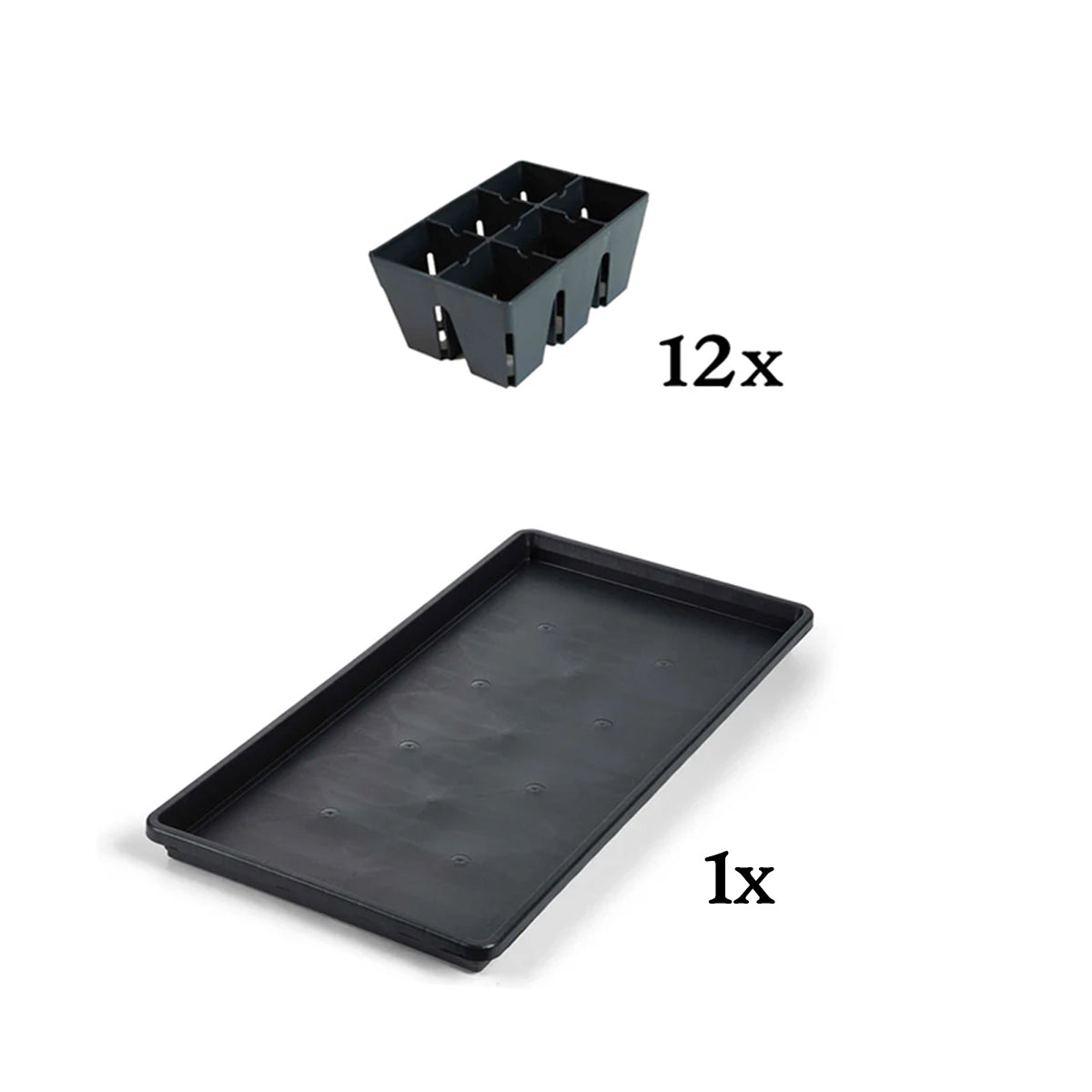 The Essential Seed Starting Kit