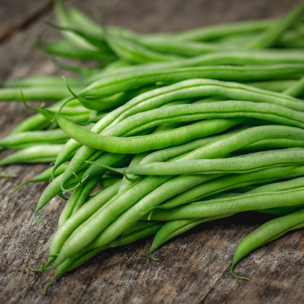 Maxibel Filet Bush Bean Seeds