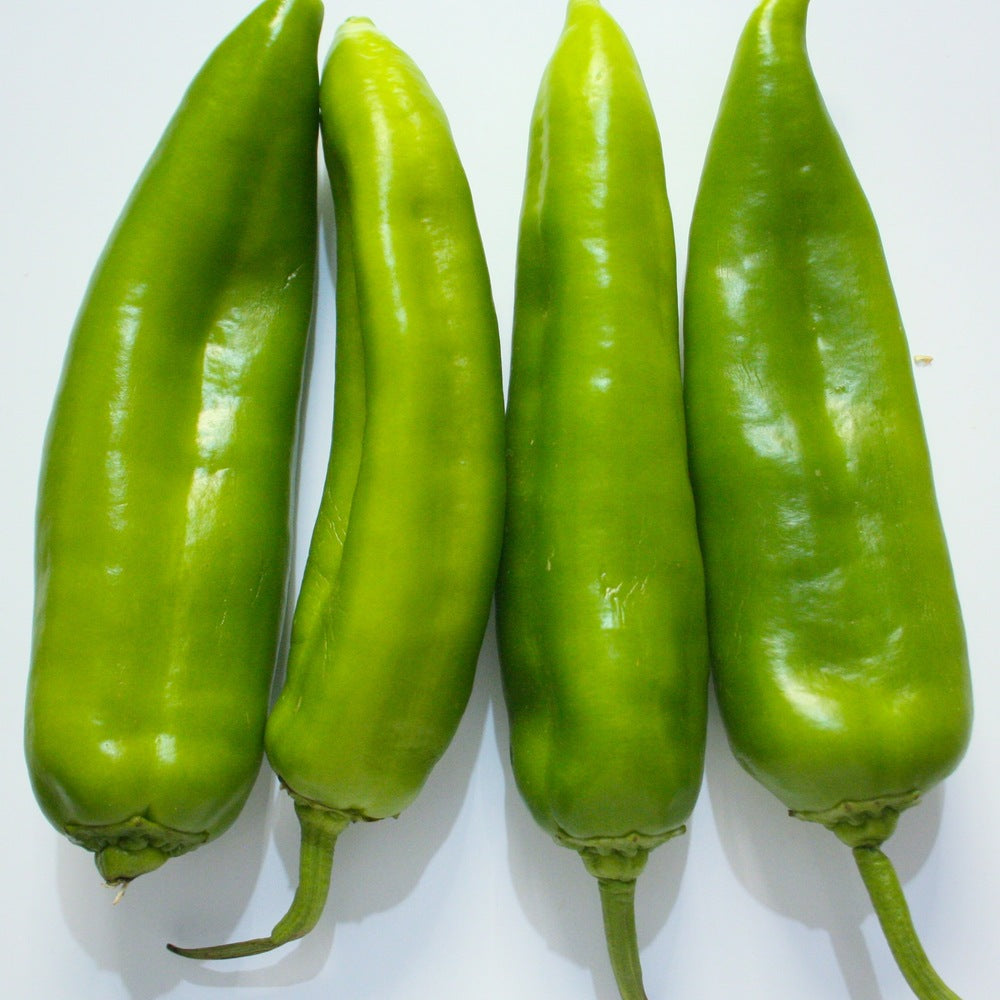 NuMex Heritage Big Jim Hatch Chile Pepper Seeds