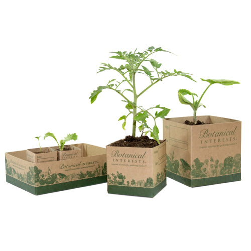 box plants in pots Recycled Paper Pots For Seedlings – Epic Gardening