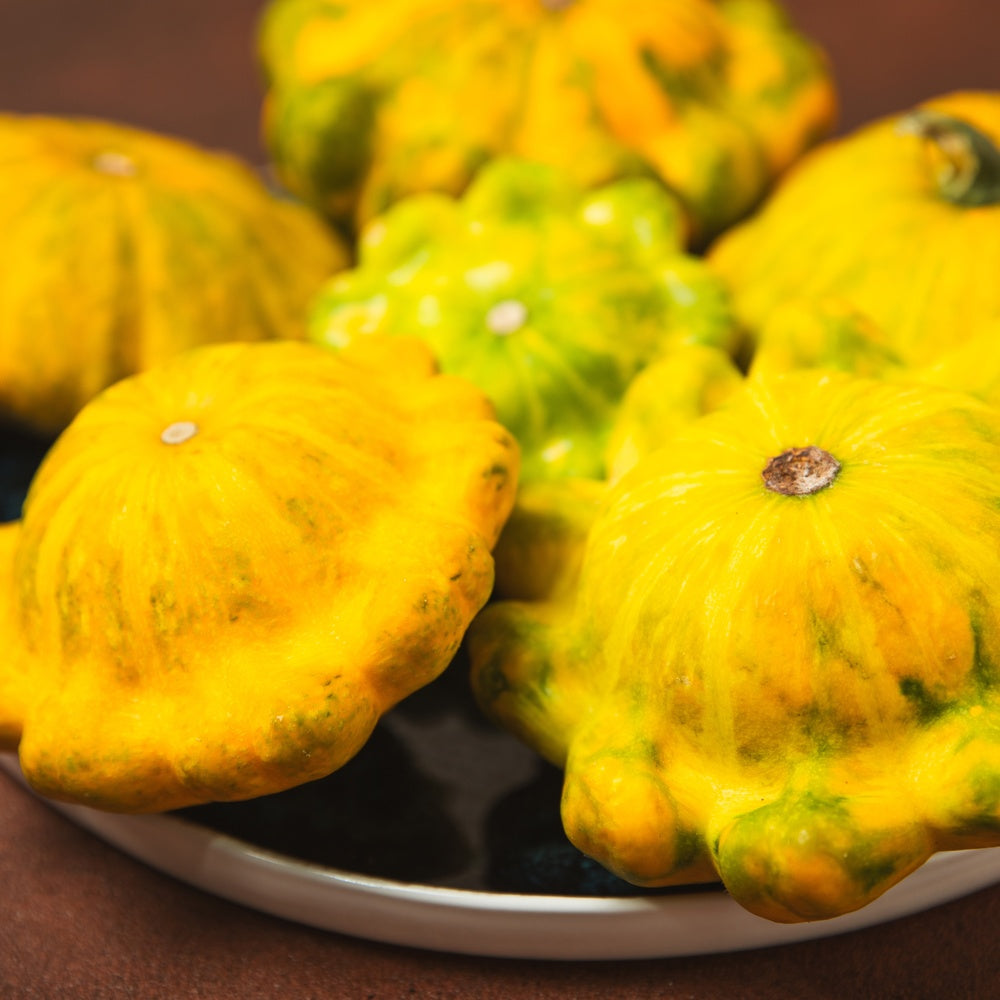 Scallop Blend Summer (Patty Pan) Squash Seeds