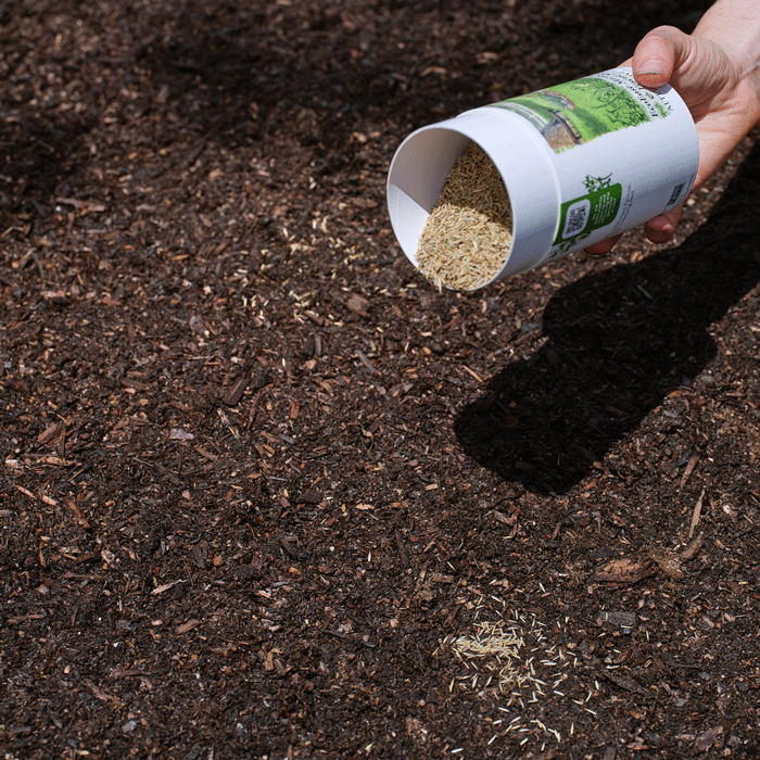 EcoEase Microclover and Fescue Mix Alternative Lawn Seed Shaker