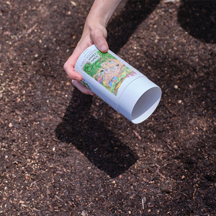 White Clover Alternative Lawn Seed Shaker