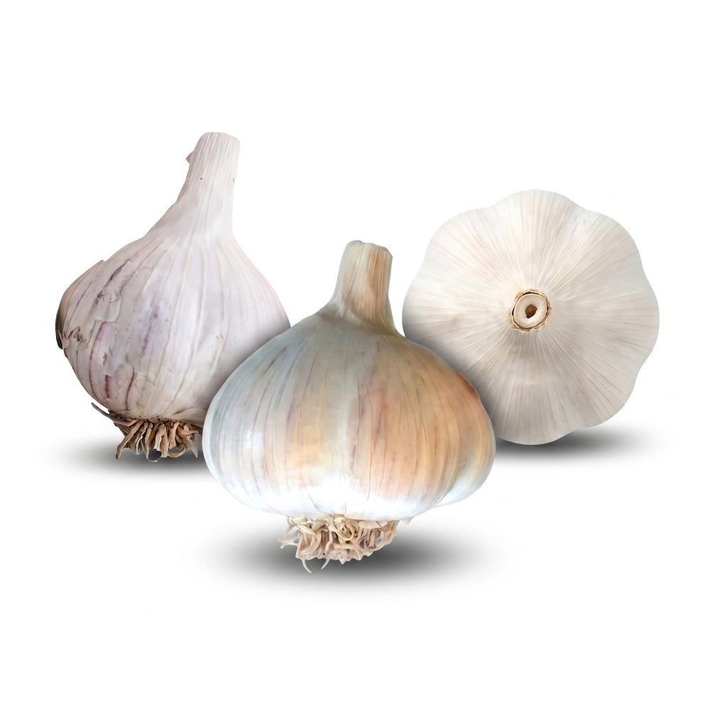 Cool Climate Garlic Bundle (Zone 6)
