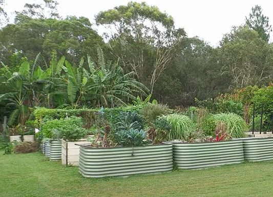 Which Water is Better for the Garden?