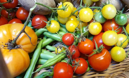 The Quickest Way to Preserve Tomatoes