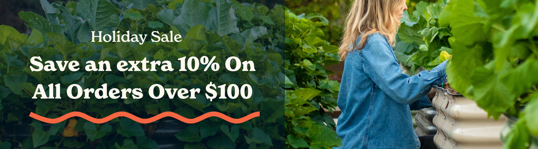 Birdies Metal Raised Garden Beds