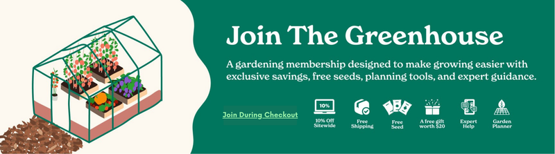 Birdies Metal Raised Garden Beds