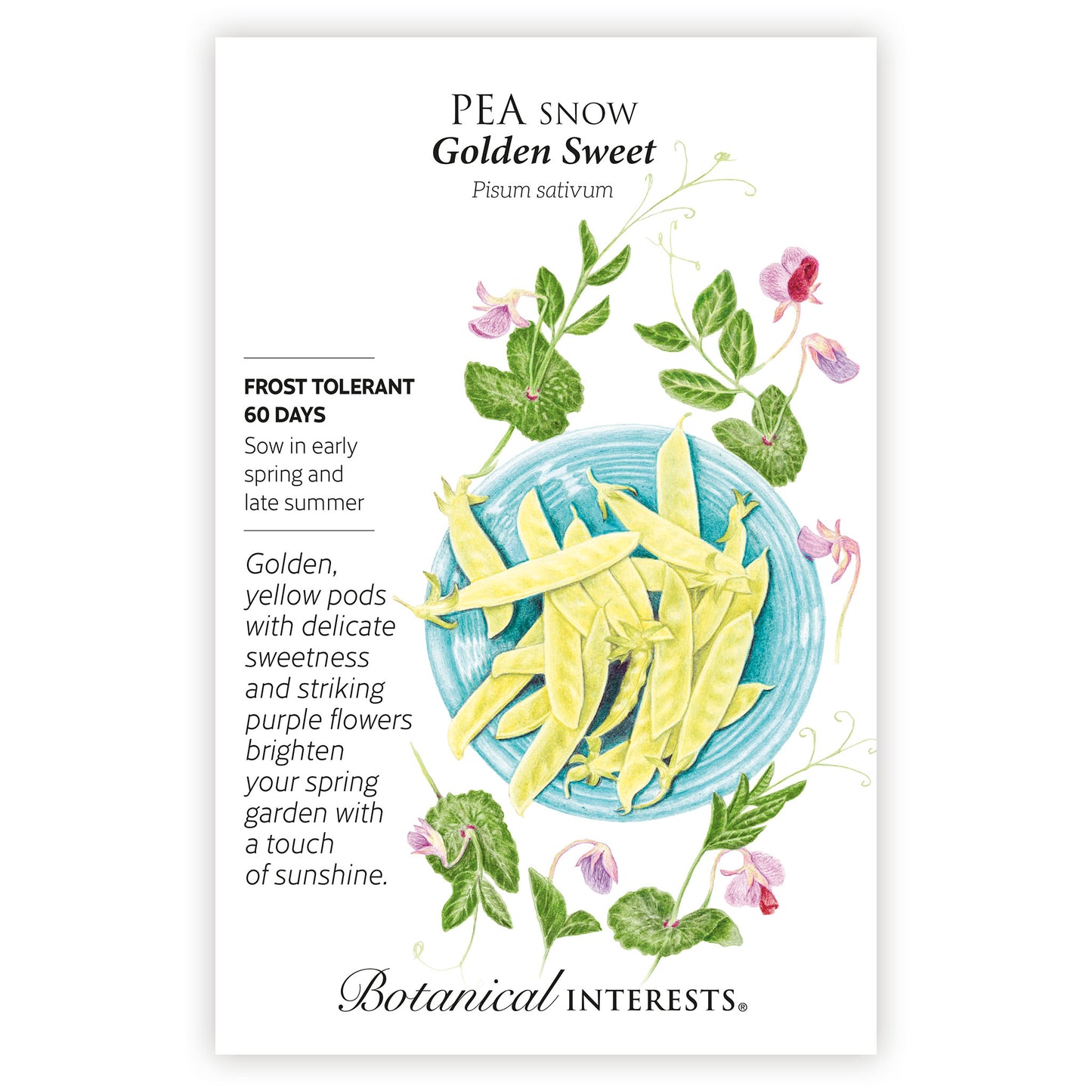2026 New Varieties Seed Bundle