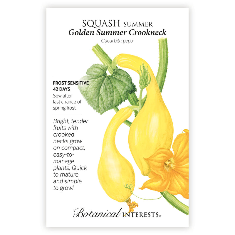 Golden Summer Crookneck Summer Squash Seeds