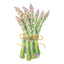 Spartacus Asparagus Seeds