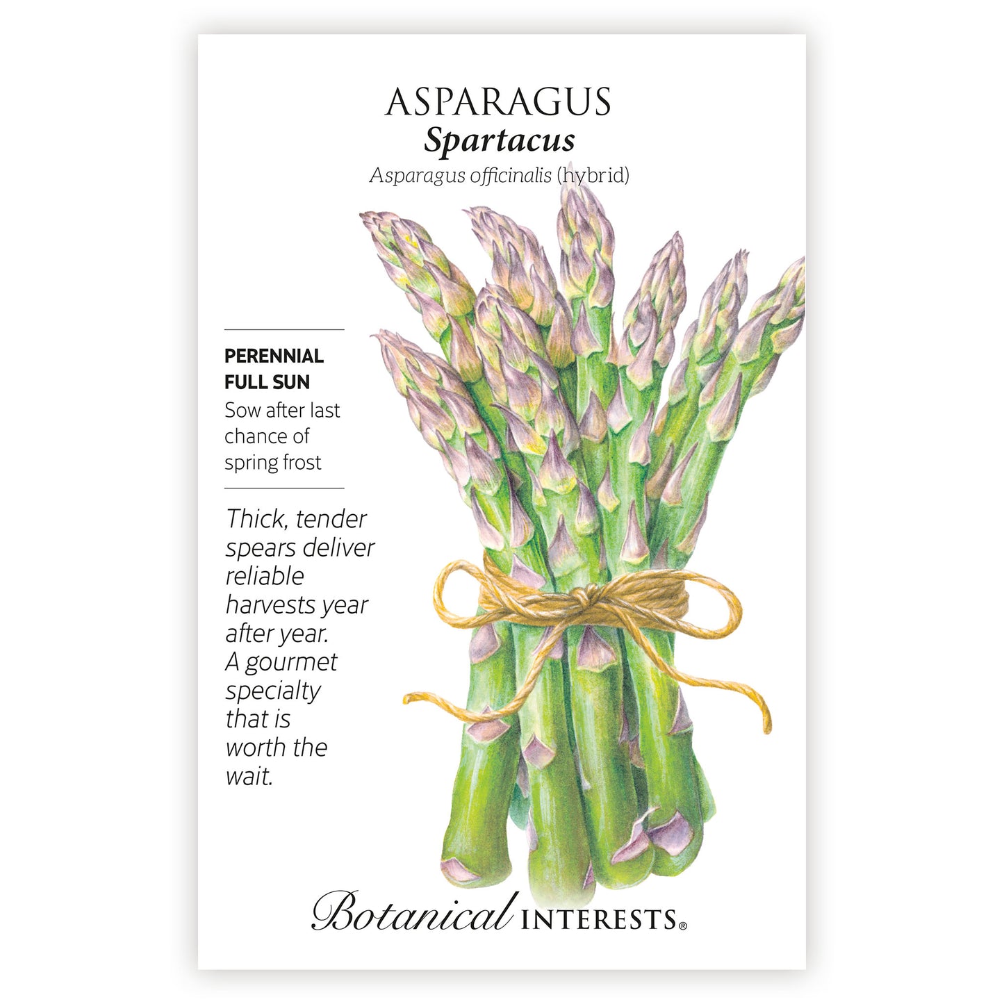Spartacus Asparagus Seeds