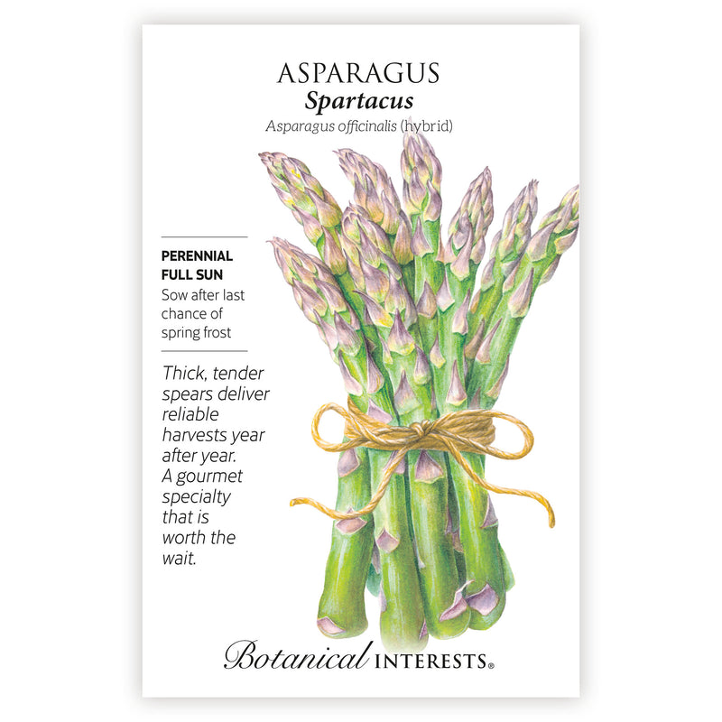 Spartacus Asparagus Seeds