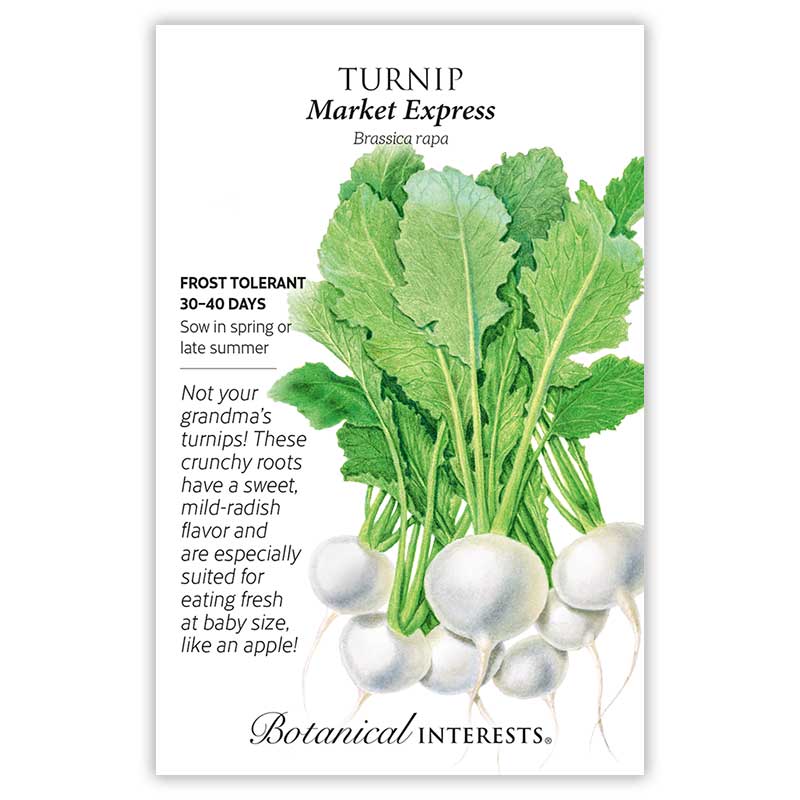 Market Express Turnip Seeds