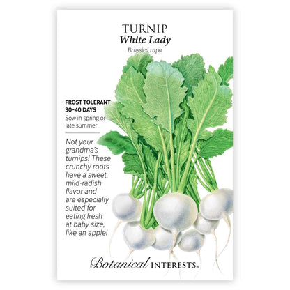 Turnip White Lady