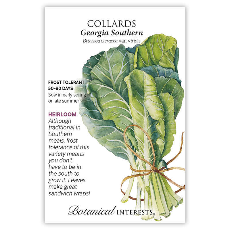 planting georgia collards seeds Georgia Southern Collards Seeds