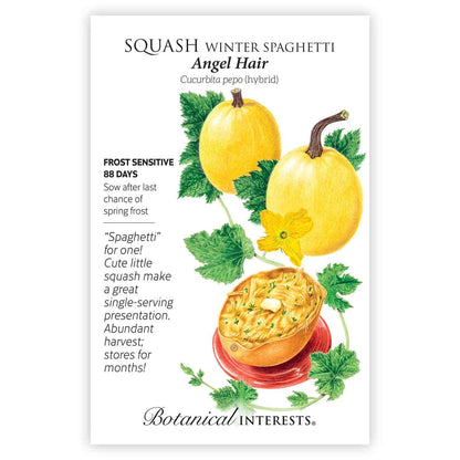 Angel Hair Winter Spaghetti Squash Seeds