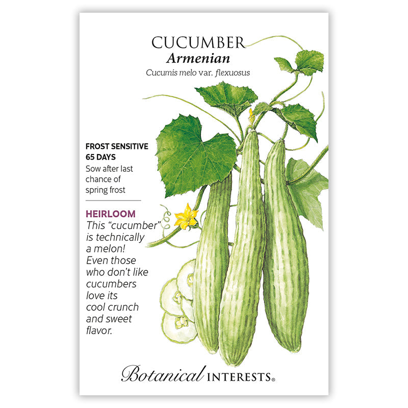 Armenian Cucumber Seeds Product Image