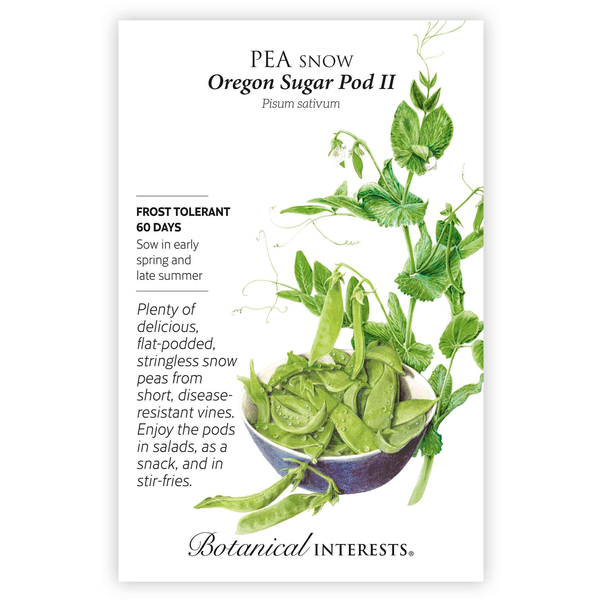 Botanical Interests Oregon Sugar Pod II Snow Pea Seeds - Thumbnail 4