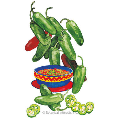Early Jalapeño Chile Pepper Seeds Product Image