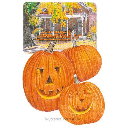 Jack O'Lantern Pumpkin Seeds Product Image