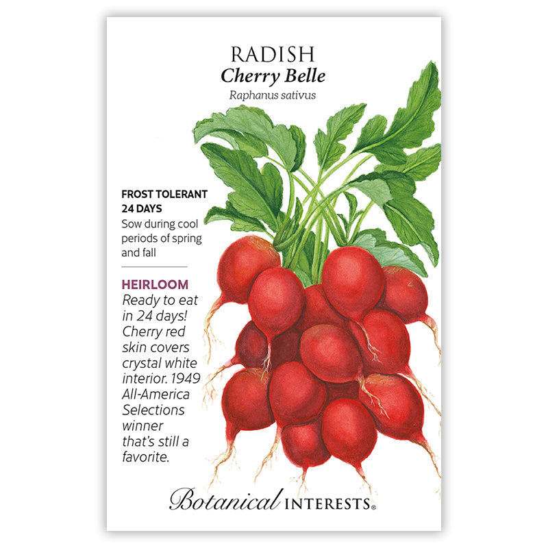 Seed packet for Botanical Interests Cherry Belle Radish featuring an illustration of round, cherry-red radishes with leafy green tops and thin roots, alongside text noting it's a frost-tolerant, 24-day heirloom variety with crystal-white interior, a 1949 All-America Selections winner.
